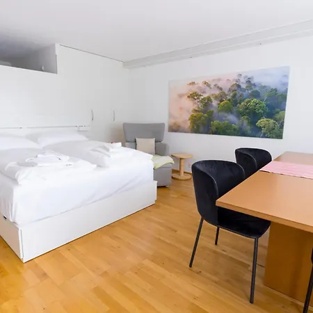 Haks Alpine With Mountain View Appartement