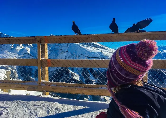 Haks Alpine Cozy Retreat شقة