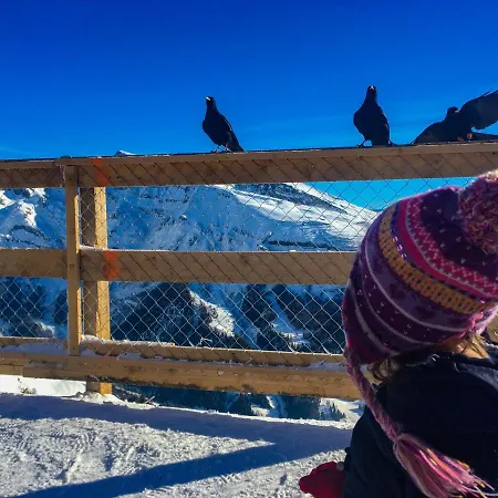 Haks Alpine Cozy Retreat 公寓